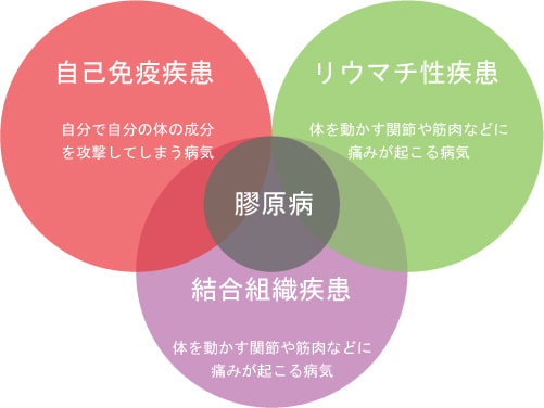 膠原病の3疾患（自己免疫疾患・リウマチ性疾患・結合組織疾患）